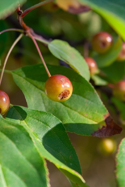 内姆哈德称从小是威少球迷，雷霆是其最爱球队之一