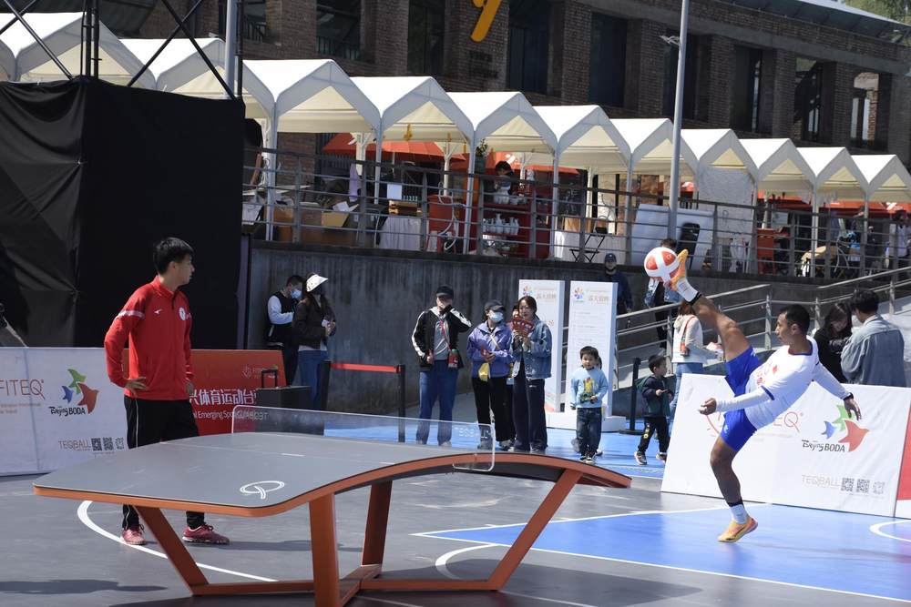 含泪赴欧！樊振东自曝逃离真相，3座大山逼走国乒一哥？