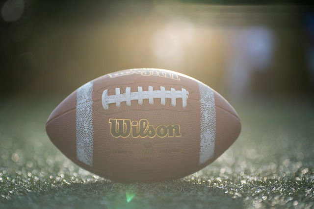 都体：热格罗瓦逐渐从伤病困扰中恢复，斯帕莱蒂对其寄予厚望