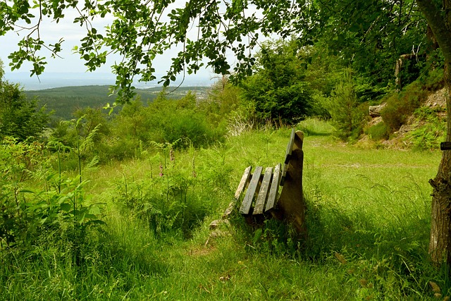 意媒：尤文两位防线伤员凯利和卡瓦尔有望在国际比赛日后复出