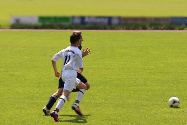 奥地利总统：阿瑙说晋级世界杯这天该是个节？夺冠了可以谈谈